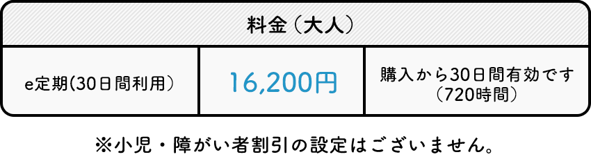 e定期(30日間利用）16,200円 購入から30日間有効です